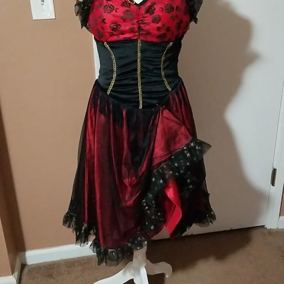 Costume, Rouge Dancer . Adults size 8 - Picture 3 of 5